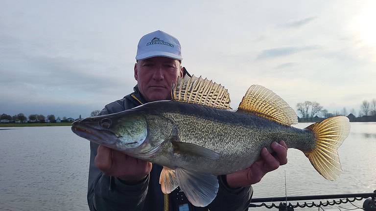 Pelagisch op XL-snoekbaars met Johan Struwe