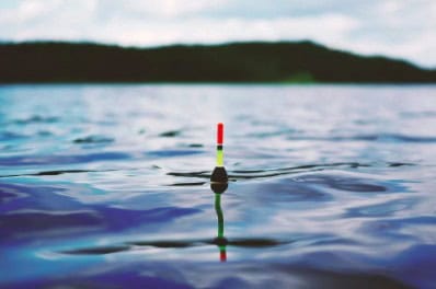 Een vissersbobber drijft op een kalm water met een wazige, donkere kustlijn op de achtergrond, waardoor een serene omgeving ontstaat die perfect is voor liefhebbers van karpervissen.