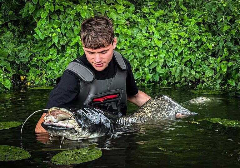 Een persoon in een wetsuit houdt een grote vis vast, gedeeltelijk ondergedompeld in water, omgeven door dicht groen, en laat zijn Vangsten zien van een avontuurlijke week vissen.