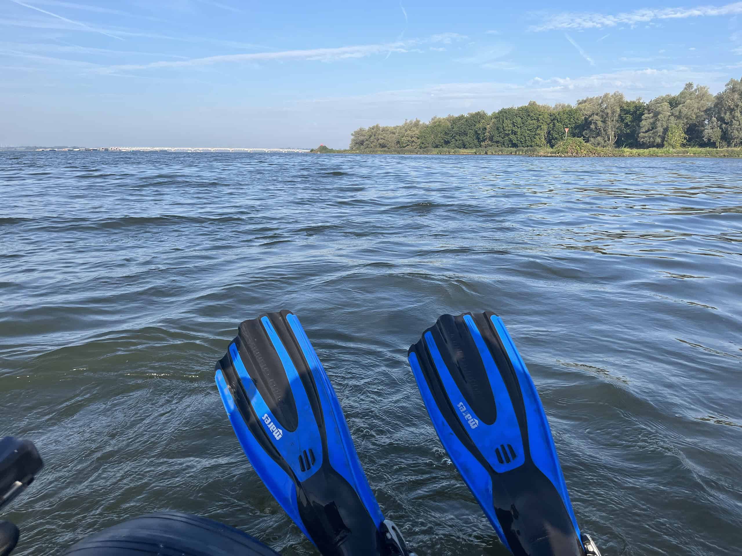 Uitzicht vanaf een boot met twee blauwe en zwarte vinnen op de rand, met kalm water en een verre, met bomen omzoomde oever onder een heldere hemel. Het is puur geluk, je één voelen met de natuur.