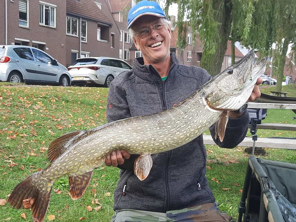 Een persoon met een blauwe pet en een bril houdt een grote snoek vast terwijl hij in een park zit, met gebouwen, geparkeerde auto's en bomen op de achtergrond - een moment van geslaagde voldoening in de serene stedelijke omgeving.