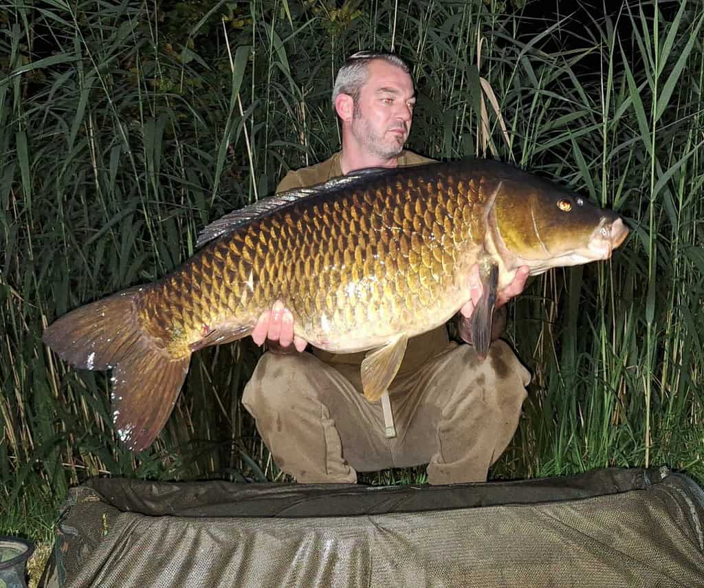 Johan van Ingen knielt op een vismat, met in zijn handen een grote karpervisser, omringd door hoog gras en de rustige sfeer van het grote water bij nacht.