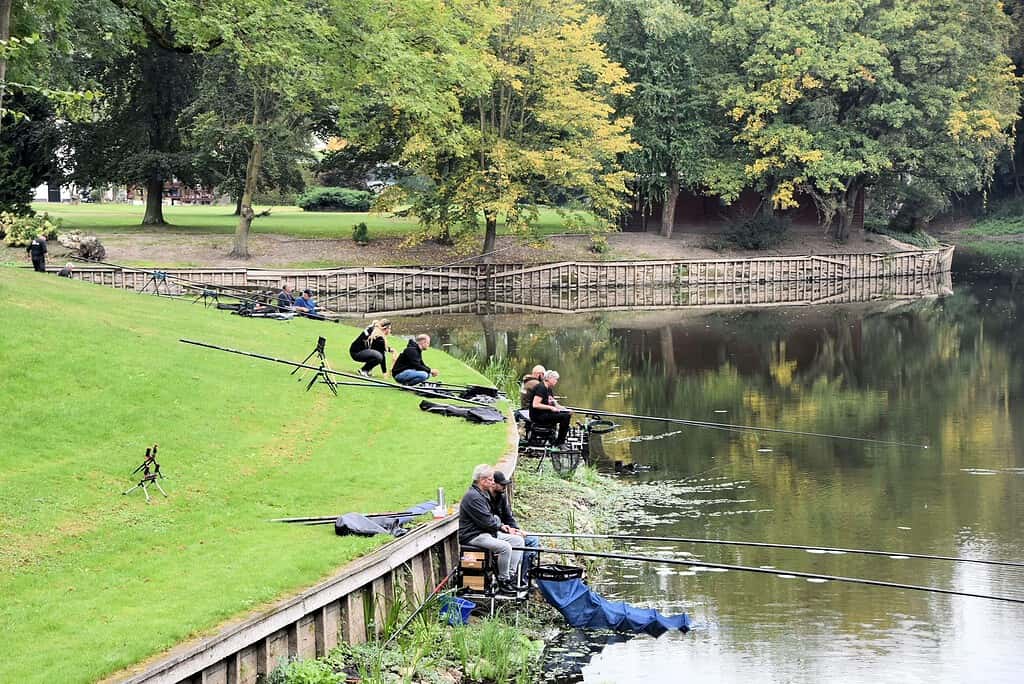 Mensen zitten aan de rand van een kalm meer te vissen op een grasachtige oever met bomen op de achtergrond, wat doet denken aan een serene dag op het clubkampioenschap dobbervissen. Hengels en uitrusting liggen verspreid om hen heen, wat doet denken aan scènes vastgelegd door kunstenaars als Cindy Horstman of William van Tongerlo.