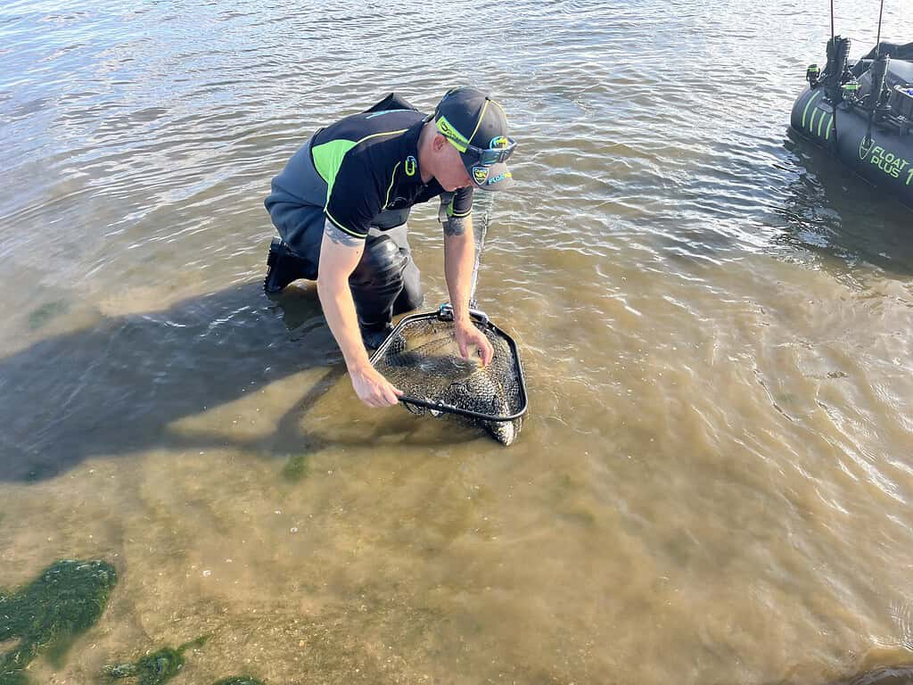 Een persoon in vistuig knielt in de ondiepe wateren van Zandmeren, met een vis in een net naast zijn bellyboat. Een kleine boot is zichtbaar aan de rechterkant van de afbeelding.