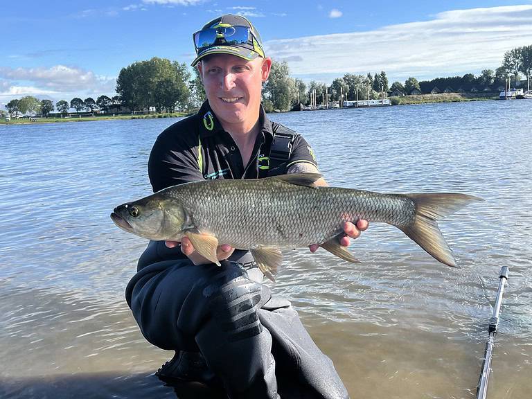 Een persoon knielt in ondiep water, gekleed in visgerei, en houdt een grote vis in beide handen vast. Op de achtergrond zijn een rivier en bomen zichtbaar. Het is werkelijk een van hun mooiste vangsten.