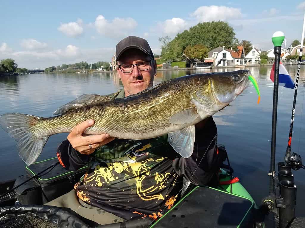 Een persoon met een pet en een bril houdt een grote vis vast, die een van de prachtige vangsten laat zien, terwijl hij op een boot op een kalm meer zit, met huizen en bomen op de achtergrond.