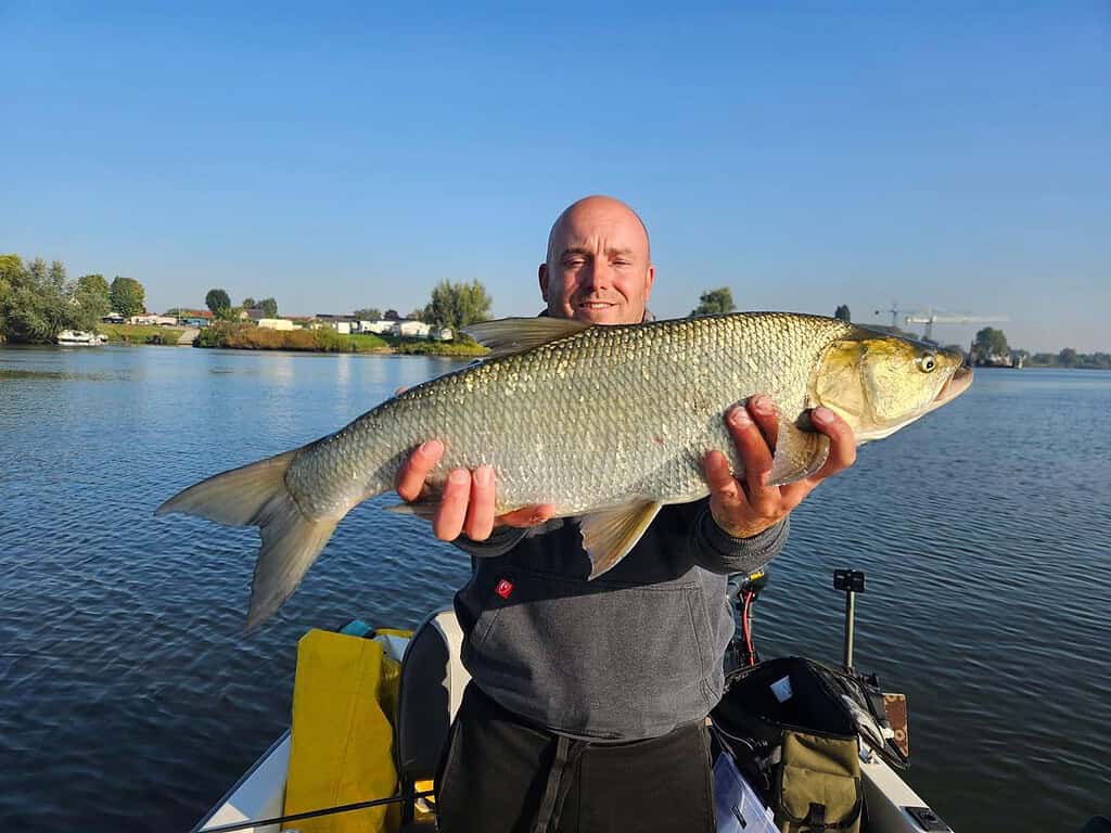 Een persoon op een boot houdt een grote vis met beide handen vast terwijl hij lacht, en toont een van zijn indrukwekkende vangsten. De achtergrond toont een kalm meer en een heldere lucht.