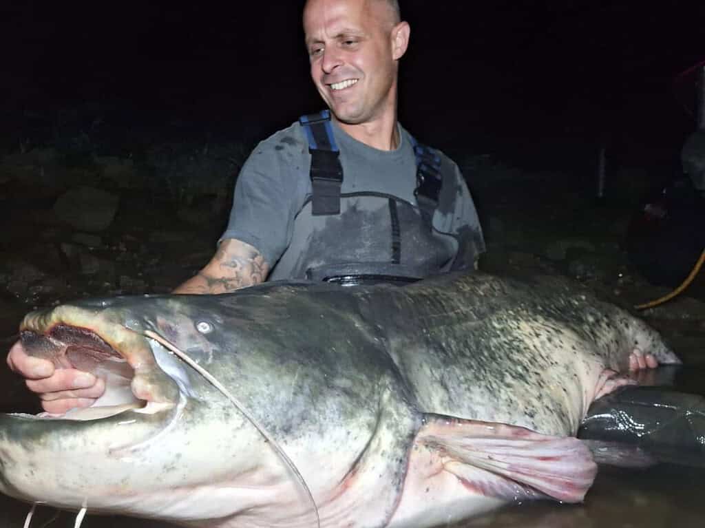 Een man die 's nachts in ondiep water staat en een grote meerval vasthoudt, laat zijn gevarieerde vangsten zien.