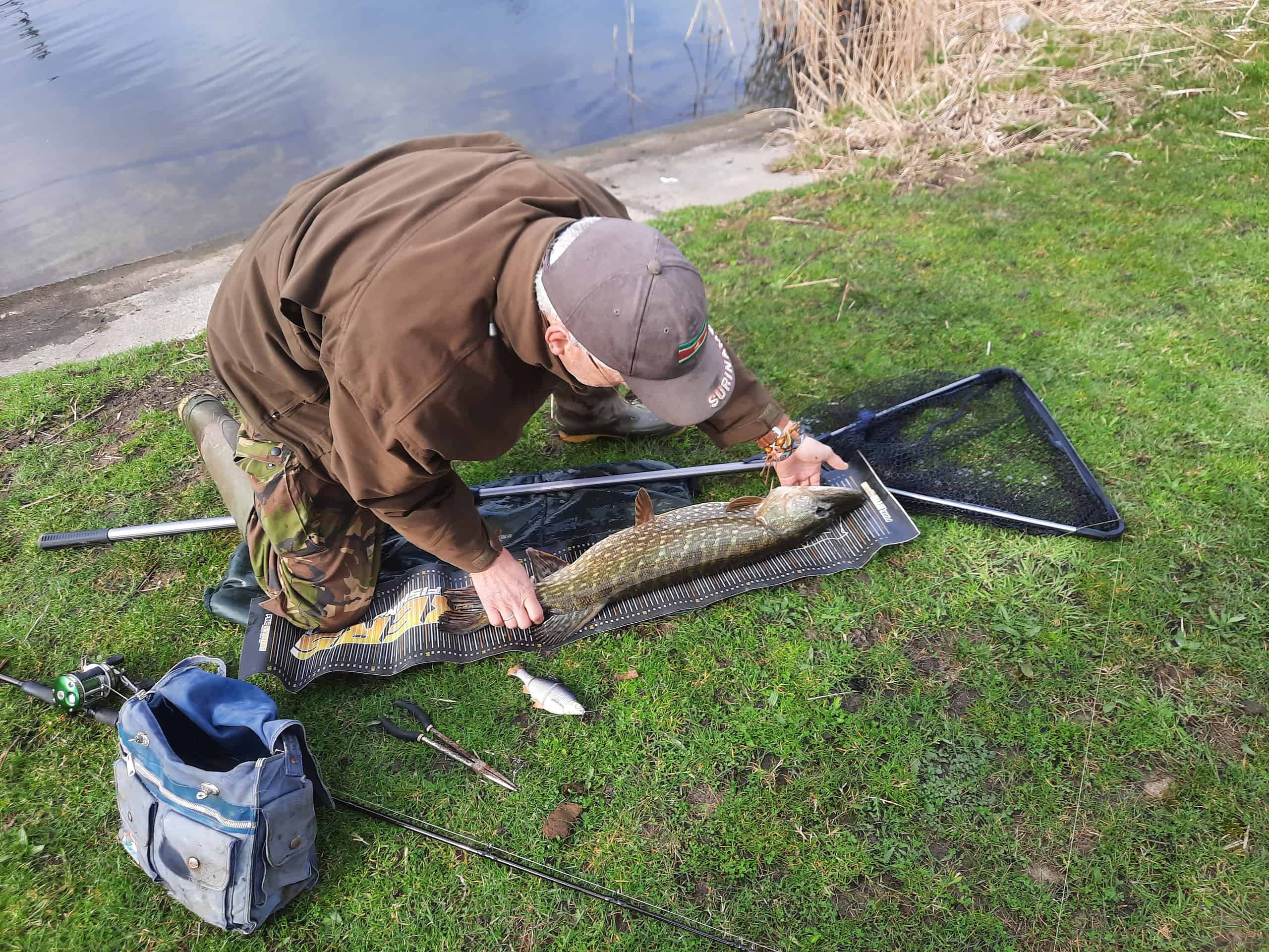 Een persoon knielt naast een grote vis die op een mat bij een watermassa is geplaatst, omringd door visgerei, wat de geest van snoekvissen belichaamt. De scène roept de passie en expertise op van toegewijde vissers als Krijn van Urk.