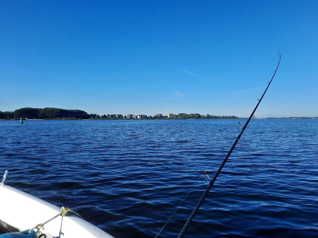 Een hengel, die veel weg heeft van de trouwe metgezel van Krijn van Urk, steekt uit in een boot op een kalm meer tijdens een rustige vissessie, met in de verte de oever en een strakblauwe lucht.