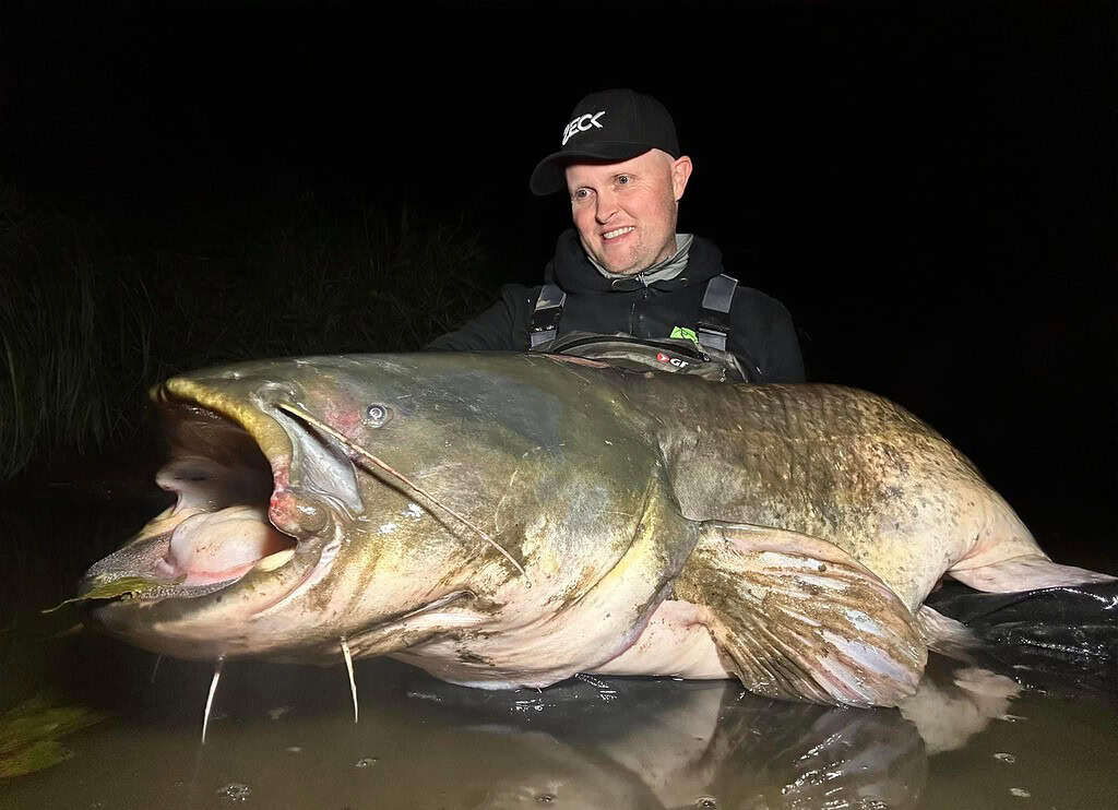 Een persoon met een zwarte pet en jas houdt 's nachts een grote meerval vast in ondiep water.