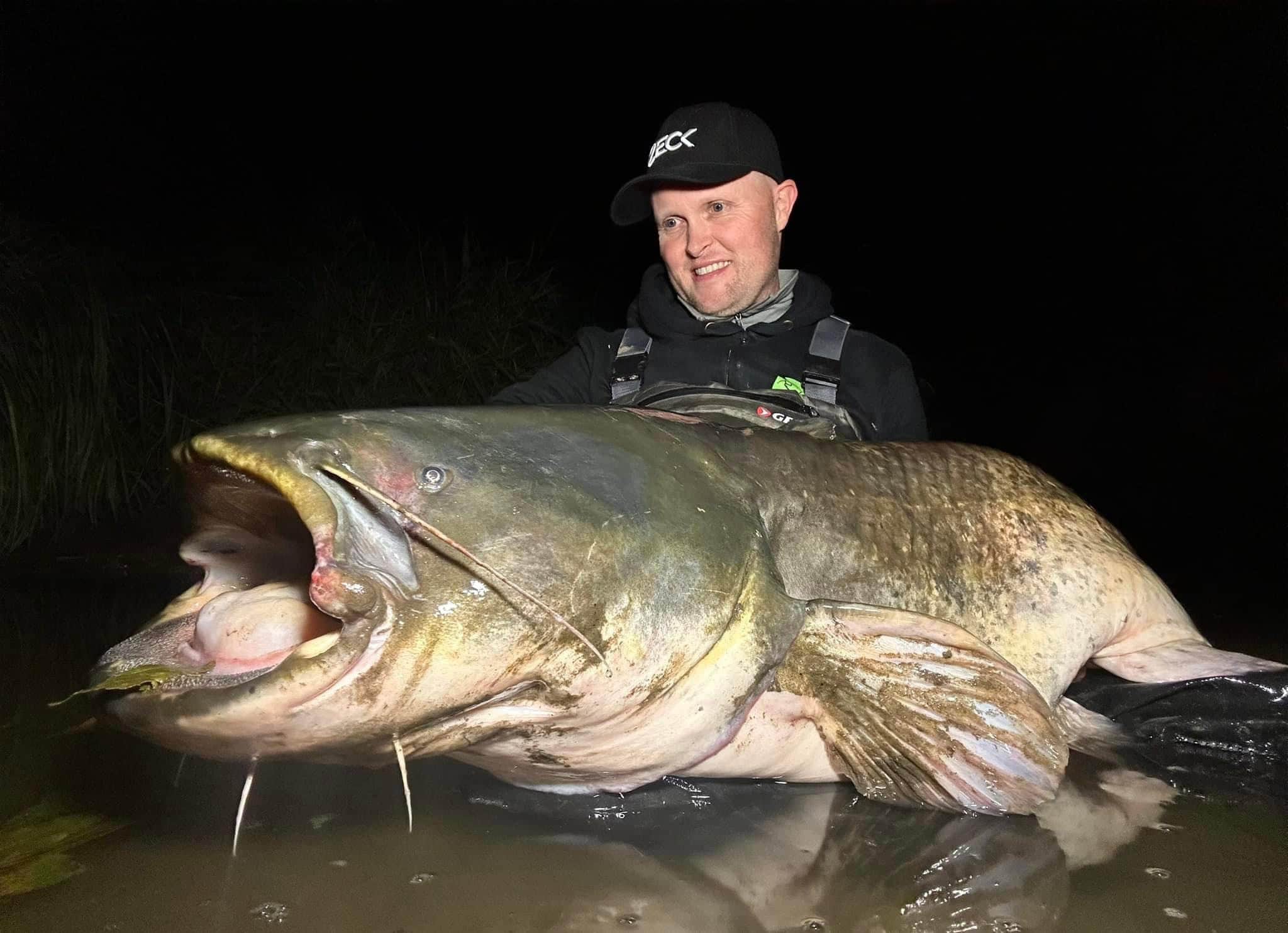 Een persoon, gekleed in een zwarte pet en hoofdlamp, staat 's nachts in ondiep water en houdt een oversized meerval vast. De scène vangt een bijna surrealistische sfeer die doet denken aan automatische concepten.