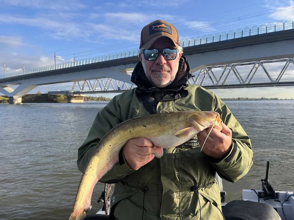 Een man met een zonnebril en een pet houdt een vis vast voor een rivier met een brug op de achtergrond.