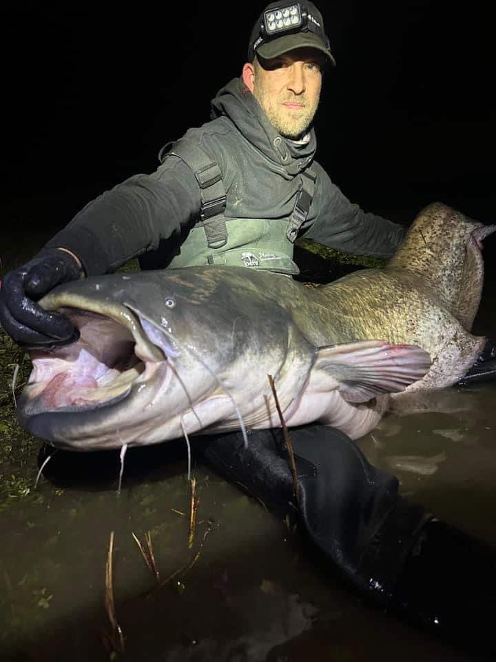 Een persoon in waadpak houdt's nachts trots een grote meerval vast, het hoogtepunt van de vangsten van deze week.