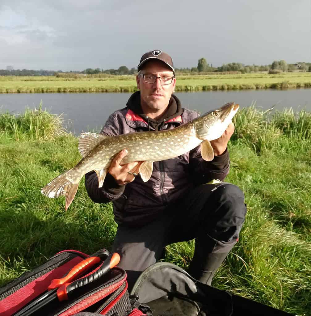 Een persoon knielt op gras bij een rivier en houdt een grote snoekvis met beide handen vast. Hun vangst is echt een vangsten om te onthouden, want het vistuig staat trots op de voorgrond.