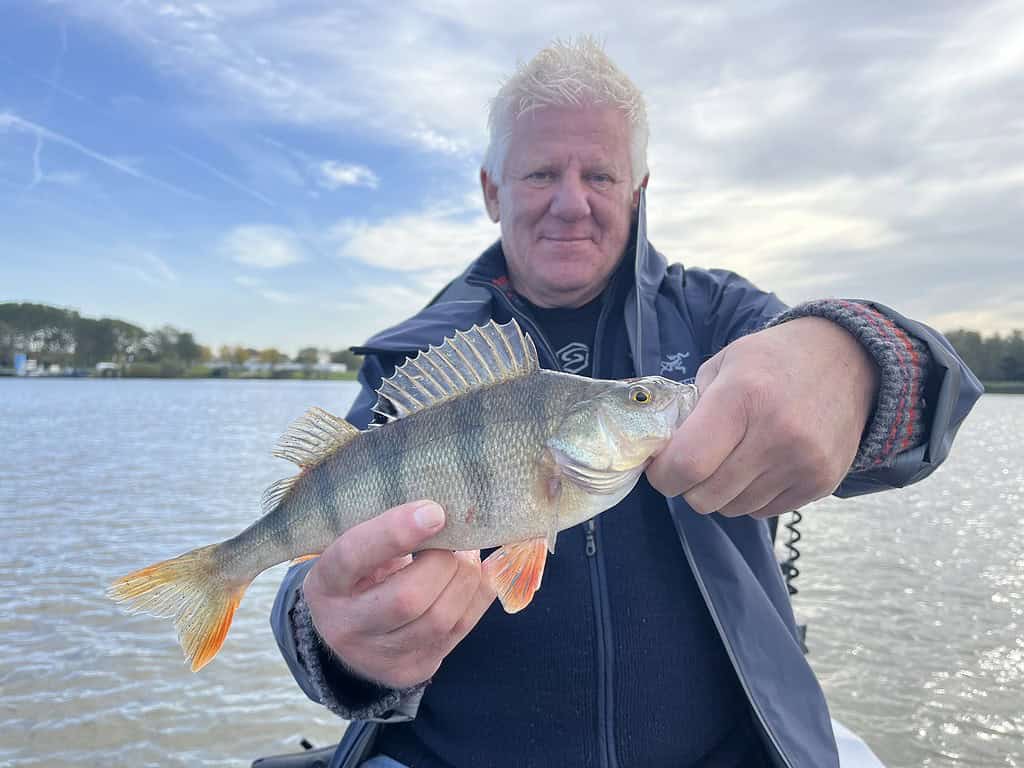 Een man houdt een vis vast op een boot tegen een achtergrond van water en bomen.