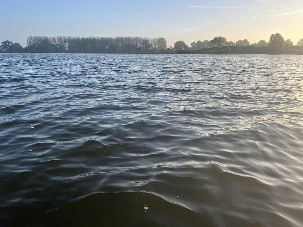 Het kalme wateroppervlak strekt zich uit, met een boomgrens die dichterbij lijkt dan ooit onder de heldere hemel bij zonsopgang.