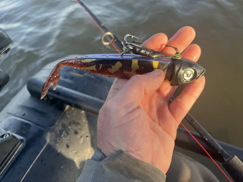 Een hand die een vislokaas vasthoudt in de vorm van een vis, met een haak eraan, zweeft boven het water vanaf een boot - dichterbij dan ooit bij het vangen van de ongrijpbare prijs.