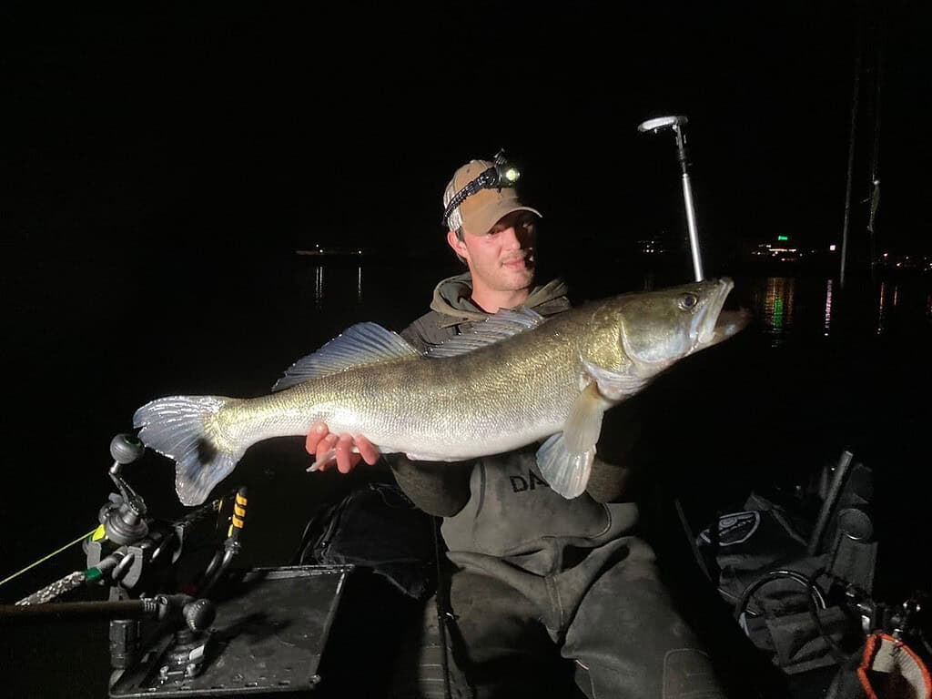 Onder de sterrenhemel houdt een persoon trots zijn vangsten vast, een grote vis, verlicht door de hoofdlamp op zijn pet. De koele nachtlucht en zacht kabbelende golven komen tot leven in dit moment van triomf.