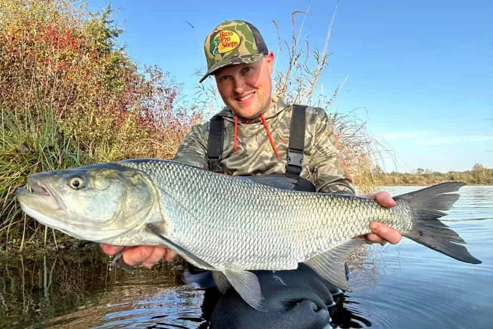 Een man in waadpak en een pet toont trots zijn vangsten, een grote vis, terwijl hij tot aan zijn knieën in de rivier staat, omringd door levendig herfstgebladerte. Het is een perfect moment dat de magie van een onvergetelijke week buiten vastlegt.