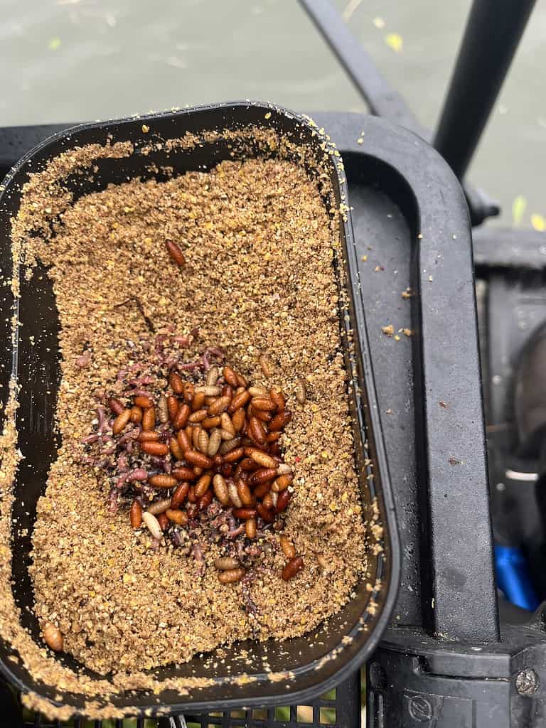 Een close-up van een bak met bruine kruimels en een groepje kleine wormpjes, geplaatst op een schaal bij het water in het rustige kanaal, perfect voor feedervisliefhebbers die geïnspireerd zijn door de technieken van Jelle Zwijnenburg.