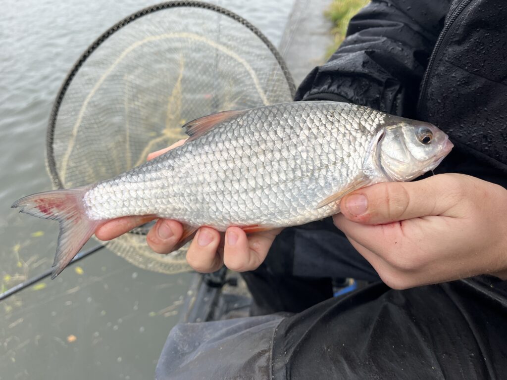 Jelle Zwijnenburg houdt trots een zilveren vis voor een visnet, staande aan het glinsterende water van het kanaal.