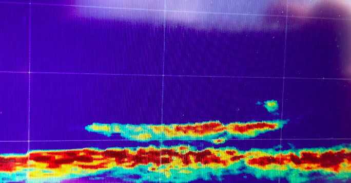 Een digitaal verbeterde afbeelding met heldere kleuren die een heatmappatroon afbeelden tegen een donkerpaarse en blauwe achtergrond, alsof u er vanaf een afstand van twee meter naar kijkt.