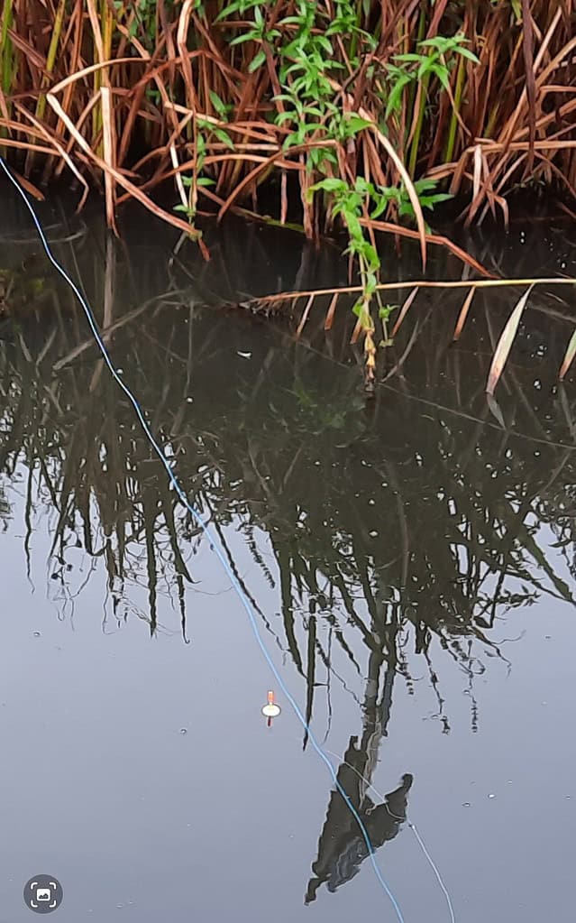 Een vislijn met een dobber drijft op het kalme wateroppervlak en weerspiegelt het omringende riet en gebladerte. Een tafereel dat doet denken aan de snoekvissenavonturen van Krijn van Urk.