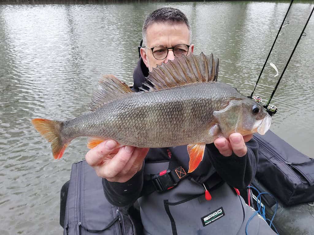 Een persoon met een bril en een vissersjack toont trots zijn vangsten van de week, een grote vis met tandjesachtige puntige vinnen, bij een rustig wateroppervlak.