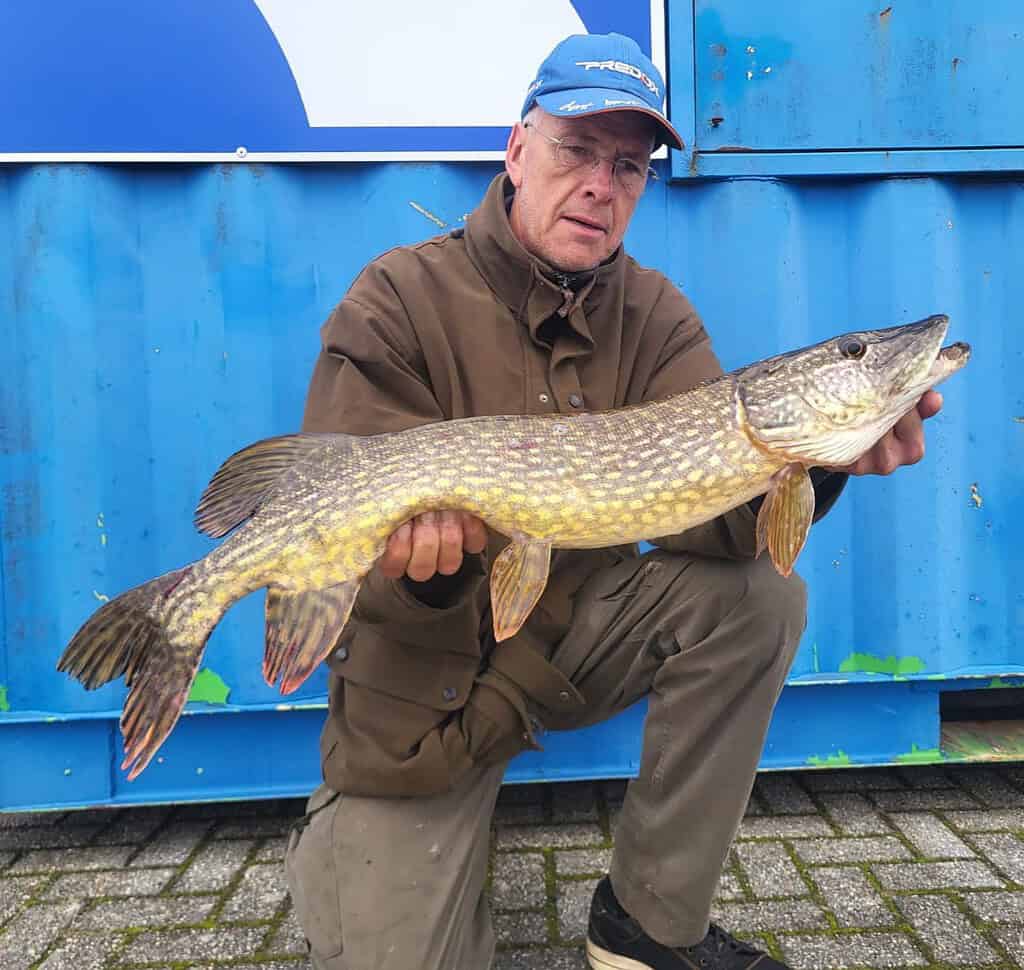 Een man toont trots zijn vangst van de week, met een grote vis voor een blauwe container. Het is duidelijk dat hij deze prestatie met vaardigheid en toewijding heeft geflikt.