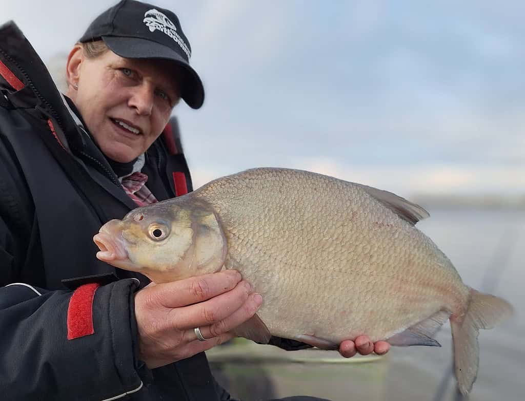 Een persoon draagt een zwarte pet en jas en houdt trots een grote vis vast, tegen de serene achtergrond van de rivier de Waal.