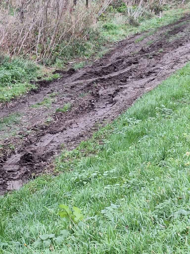 Een modderig zandpad met diepe bandensporen slingert door een grasveld bij de rivier de Waal, omgeven door schaarse vegetatie. Ideaal voor wie op zoek is naar rustige momenten van feedervissen.