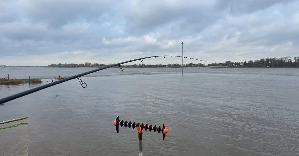 Op een bewolkte dag rust een hengel in een houder aan de Waal, met een verre horizon en een groene markering in zicht: een perfecte setting voor feedervissen tijdens hoogwater.