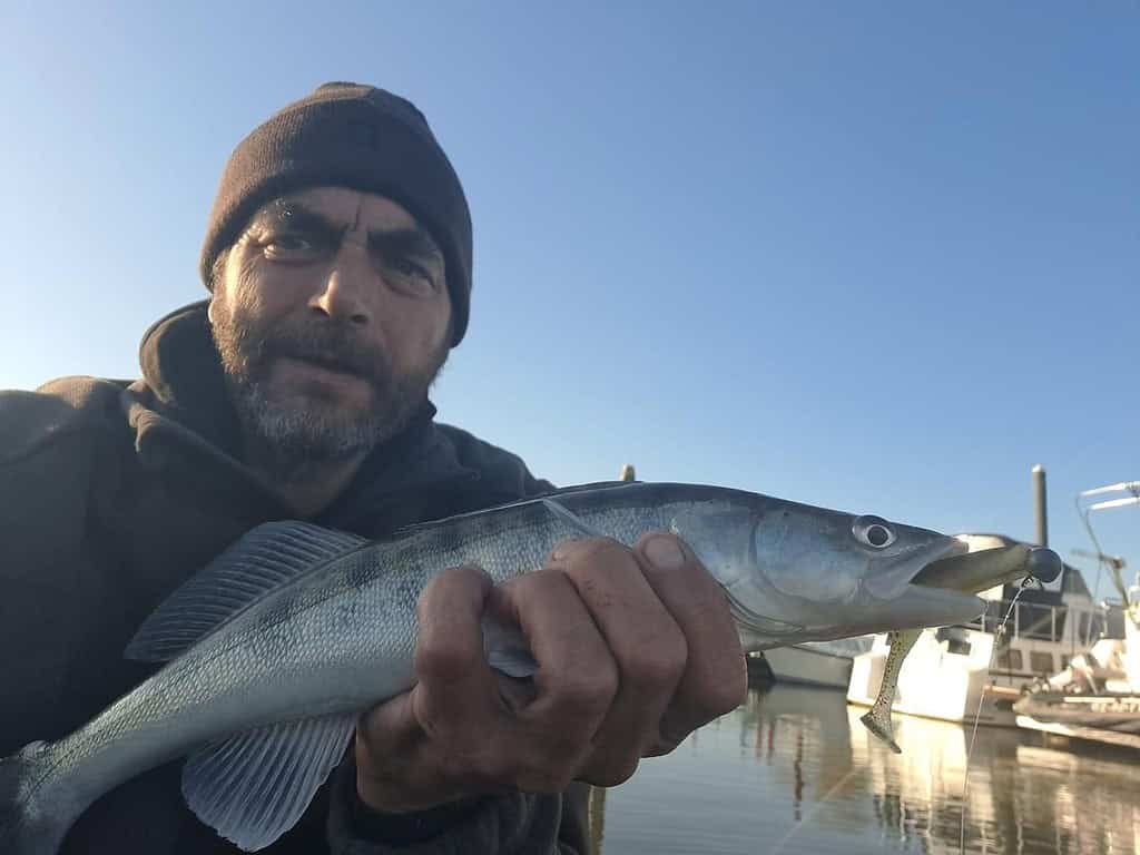 Een persoon met een baard houdt een vis in één hand en staat bij een waterpartij, met boten op de achtergrond.