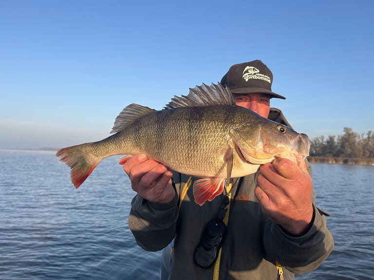 Joris en Johan tonen triomfantelijk hun vangst, een brute baarzenvanger, op de boot. De glinsterende vis, gevangen met bladebaits, contrasteert prachtig met de strakblauwe lucht en het glinsterende water op de achtergrond.
