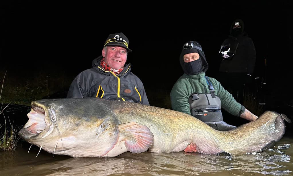 Twee mensen houden 's nachts een grote vis vast in ondiep water. Eén persoon draagt een pet en de ander een masker en een muts.