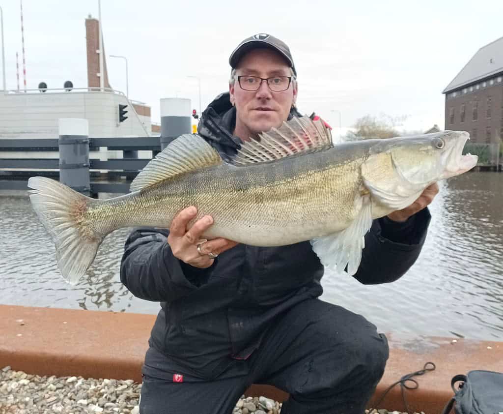 Een persoon in buitenkleding houdt trots een grote vangsten vast aan de oever van de rivier, met gebouwen en water op de achtergrond.