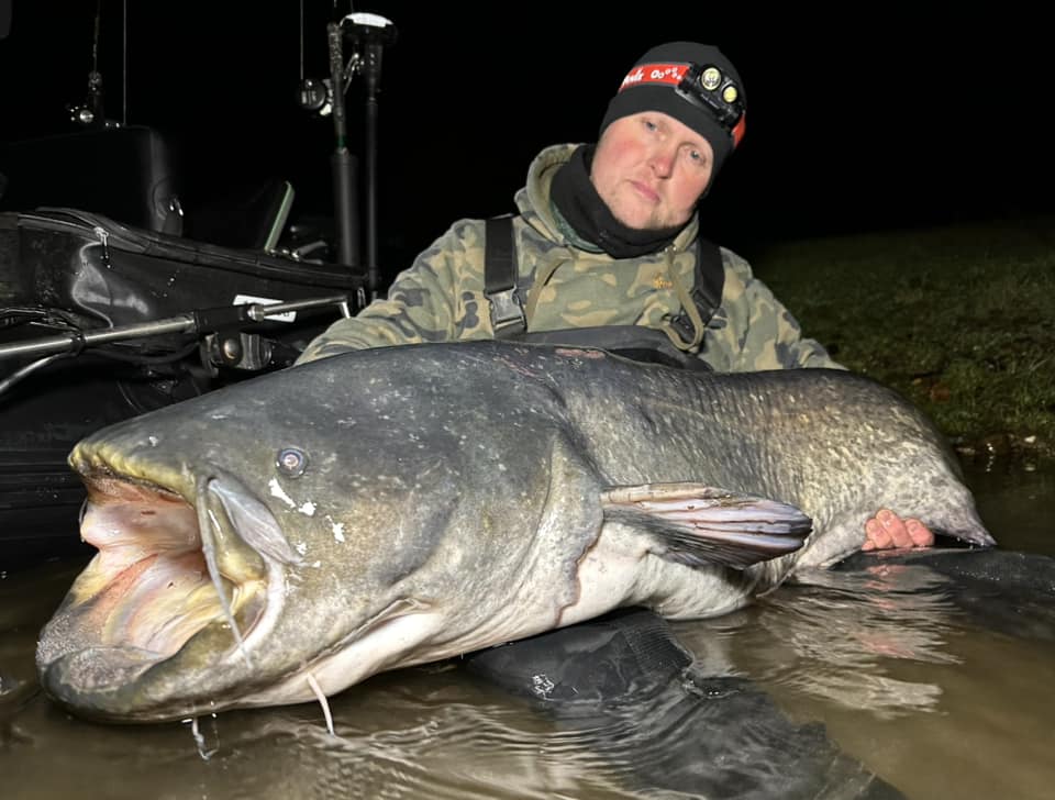 Een persoon in een camouflagejasje houdt 's nachts in ondiep water een grote meerval vast en laat zo zijn indrukwekkende 'vangsten van de week' zien.