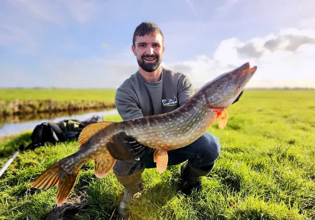 Een man toont trots zijn vangsten van de week, waarbij hij een grote vis vasthoudt tegen de achtergrond van een open veld en een klein wateroppervlak.