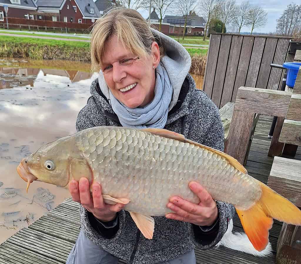 Dagen na een succesvol uitje houdt iemand trots een grote vis vast op een houten dek bij een vijver. De scène legt de essentie van "vangsten van de week" vast, met pittoreske huizen en weelderige bomen op de achtergrond.