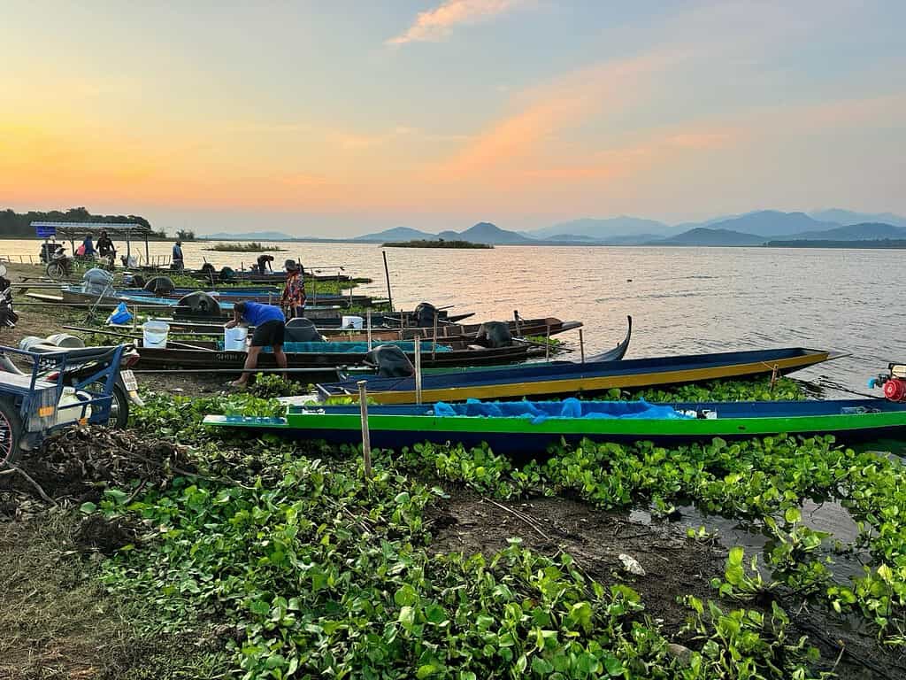 Boten aangemeerd aan een serene oever van een meer in Thailand, met weelderig groen en majestueuze bergen die zich aftekenen tegen de zonsondergang. Mensen, waaronder Mo Simon, verzorgen de boten terwijl het rustige tafereel zich ontvouwt - een perfect einde van een dag waar zelfs een nieuwsgierige slangenkop even bij stil zou kunnen staan.