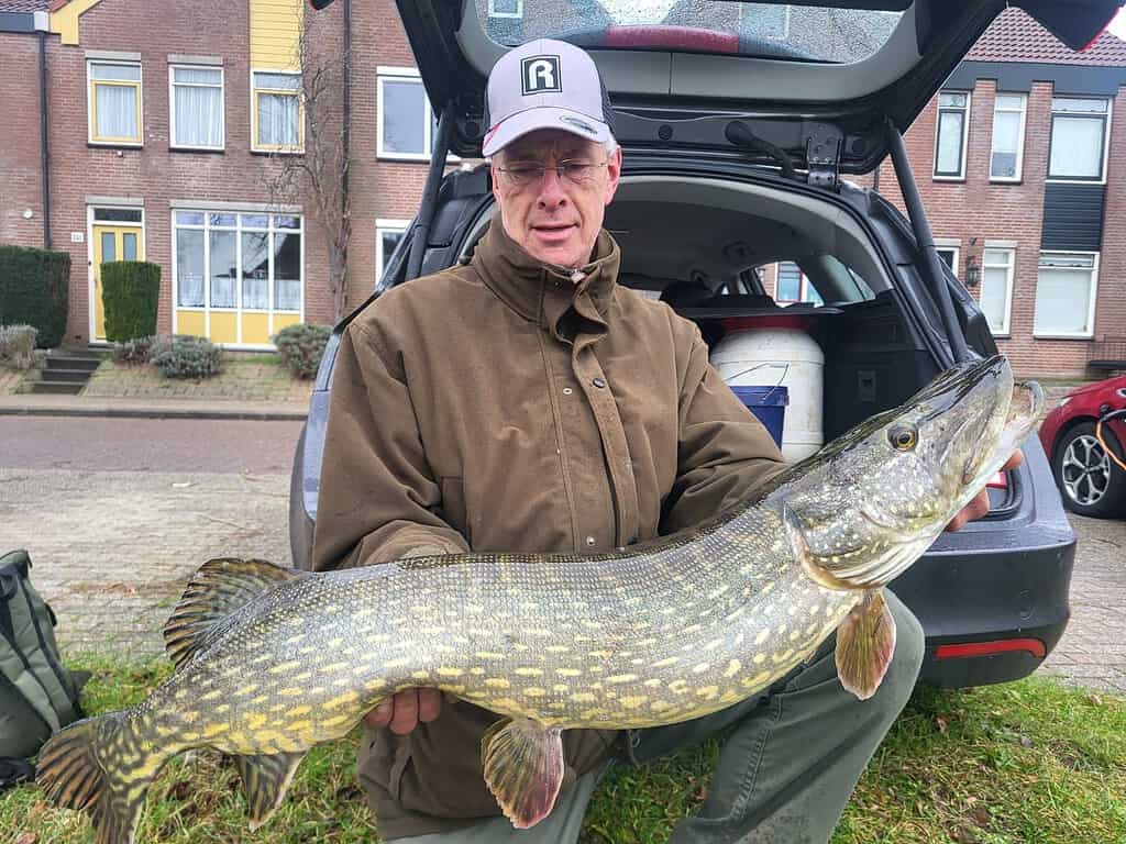 Een persoon staat naast een auto met een grote vis in zijn handen. De vangsten is duidelijk zichtbaar en op de achtergrond zijn huizen zichtbaar.