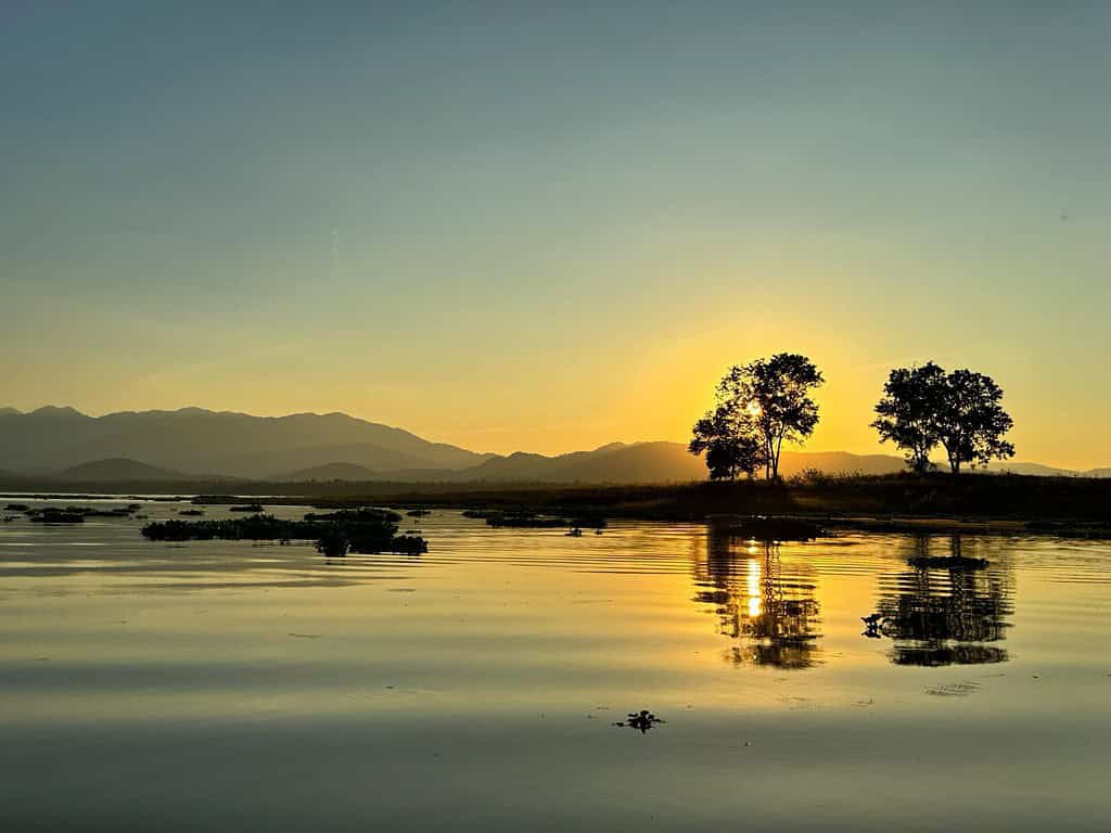 Een rustig meer in Thailand bij zonsondergang toont silhouetten van twee bomen aan de oever, bergen op de achtergrond en een gouden lucht die wordt weerspiegeld in het kalme water, wat doet denken aan slangenkopvissen die eronder glijden.