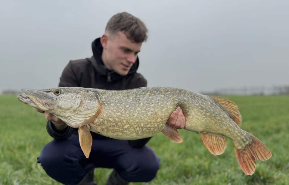 Een persoon toont vol trots zijn vangsten van de week en houdt buiten op een grasveld een grote vis vast, met op de achtergrond een bewolkte lucht.