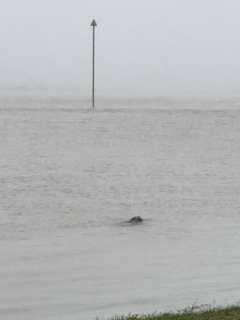 Te midden van het hoogwater van een grote rivier staat een gedeeltelijk ondergedompelde markering vastberaden, vergezeld door een klein object dat op drift is. De dikke mist bedekt de achtergrond en voegt een zweem van mysterie toe aan de overstroomde scène.