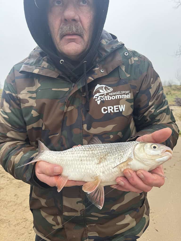 Een persoon in een camouflagejasje houdt trots een vis vast, staande aan de rand van een grote rivier, waar de zanderige achtergrond tekenen van recent hoogwater vertoont.