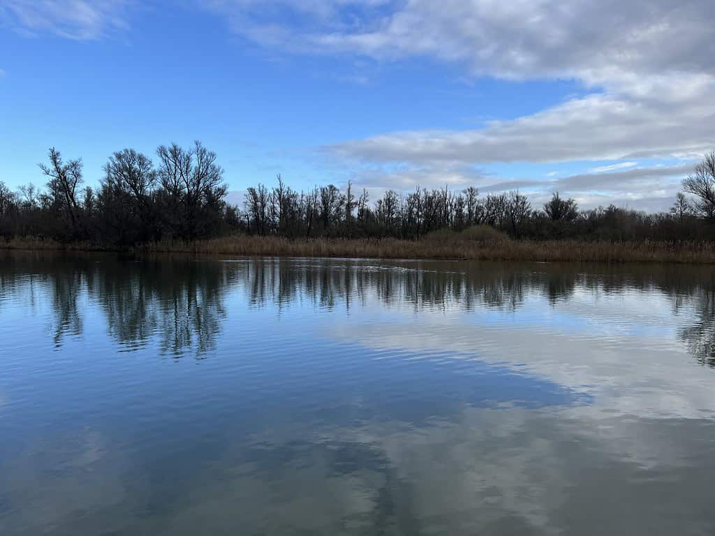 Een kalm meer dat de blauwe lucht en wolken weerspiegelt, omgeven door kale bomen en riet langs de oever, nodigt uit tot goede gesprekken, zelfs op een rustige dag.