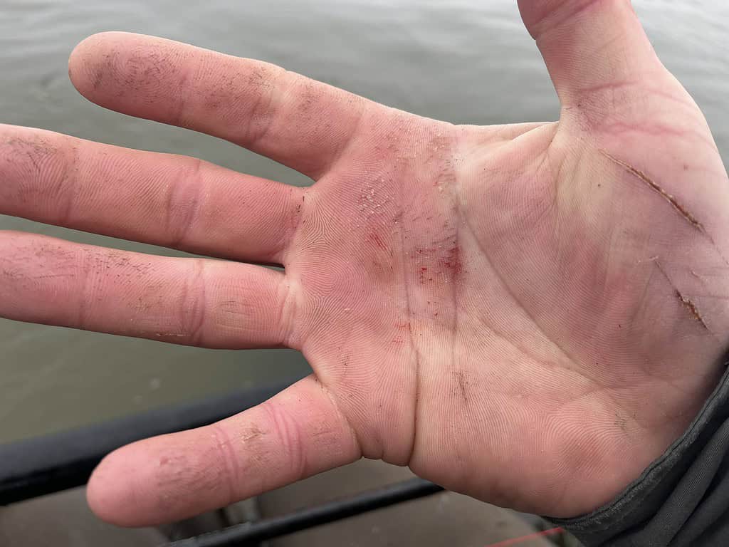 Een close-up van een hand met zichtbare sneden en vuil, die schijnbaar uit het water komt, duidt op de nasleep van een epische strijd - mogelijk het eerste hoofdstuk van een monsterverhaal.