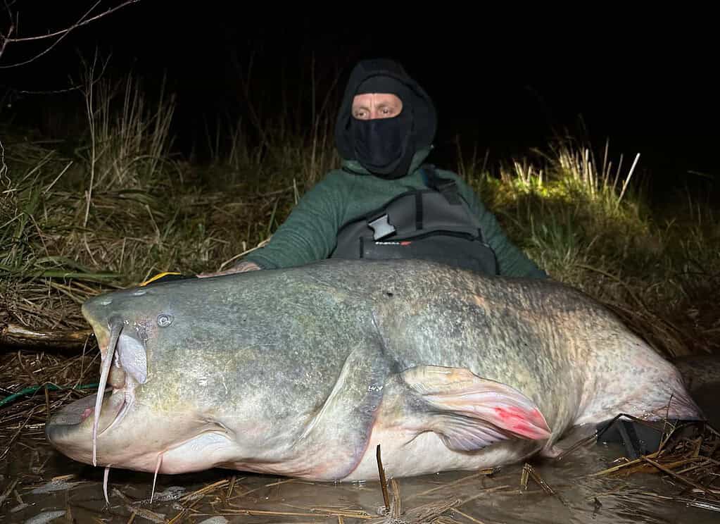 Een persoon met een masker zit in het donker met een grote vis in zijn handen op natte grond, omringd door gras.