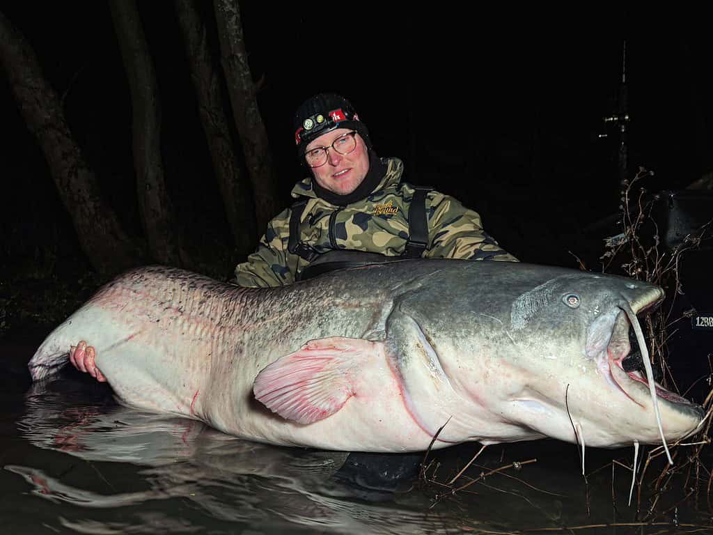 Persoon die 's nachts een grote meerval in het water houdt, draagt een camouflagejas en een hoed met badges.